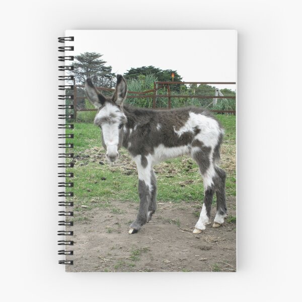 Item preview, Another Baby Donkey designed and sold by Skyhorse.