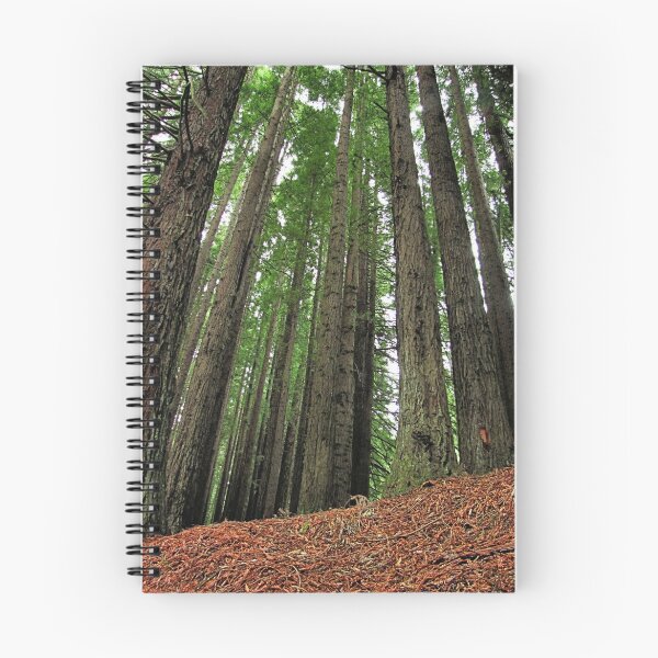 Item preview, Otway's Redwoods  designed and sold by Stephen Ruane.