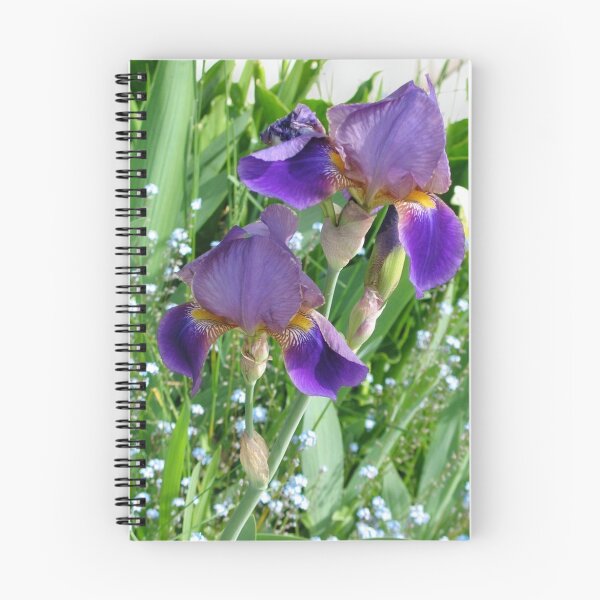 Item preview, Irises designed and sold by art2plunder.