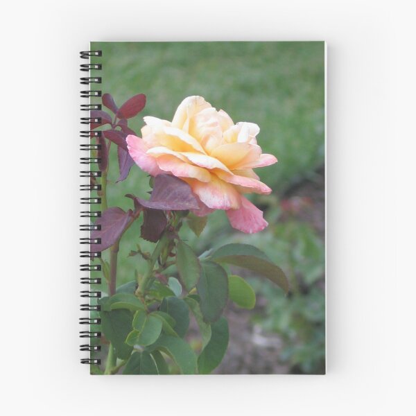Artikelvorschau, A Single Rose entworfen und verkauft von art2plunder.