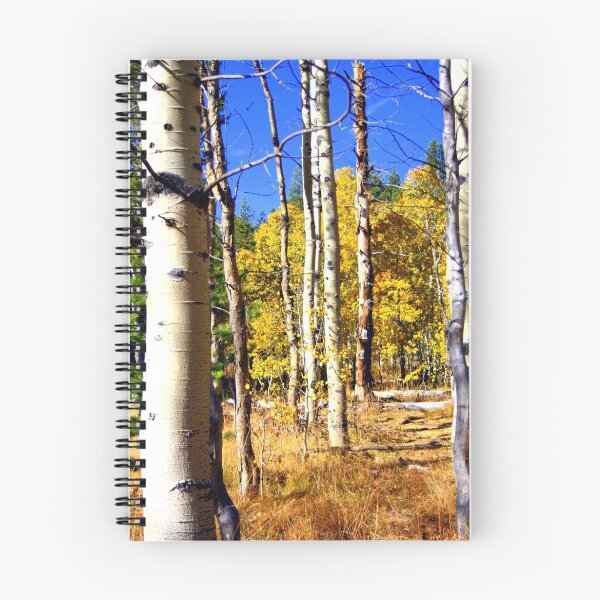 Item preview, "Aspen Grove"  designed and sold by Lynn Bawden.
