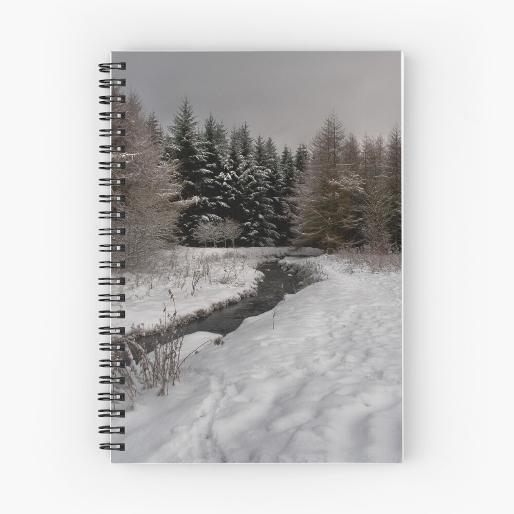 Item preview, Spiral Notebook designed and sold by Ranger1.