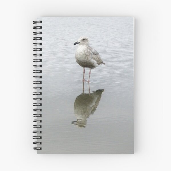 Item preview, Baby Gull 2 designed and sold by art2plunder.