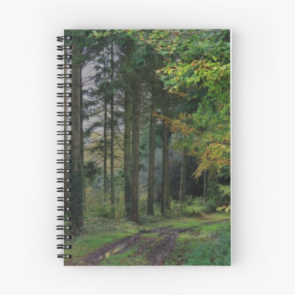 Item preview, Medland Lane, Near Crediton, Devon designed and sold by Squealia.