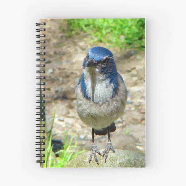 Item preview, Attentive Visitor designed and sold by Heather Haderly.