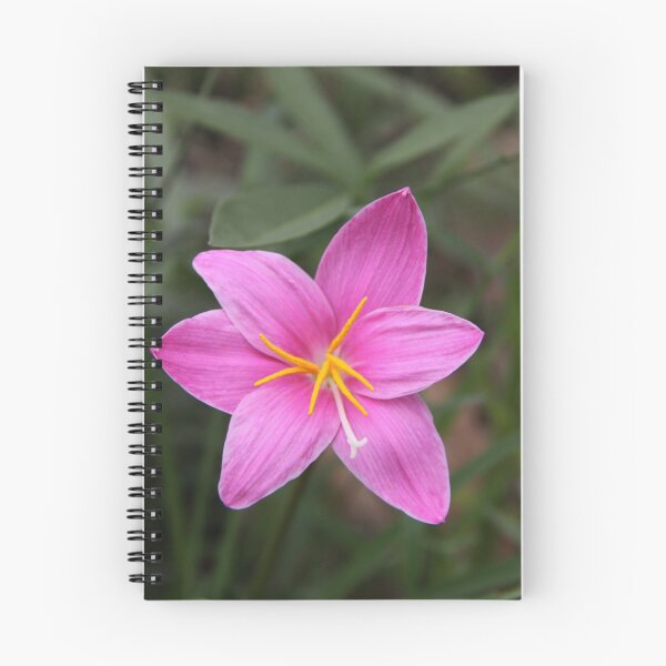 Item preview, pink crocus designed and sold by StaceyH.