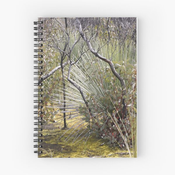 Item preview, Flinders Chase bush wilderness - Kangaroo Island, South Australia designed and sold by Carissa Hubrechsen.