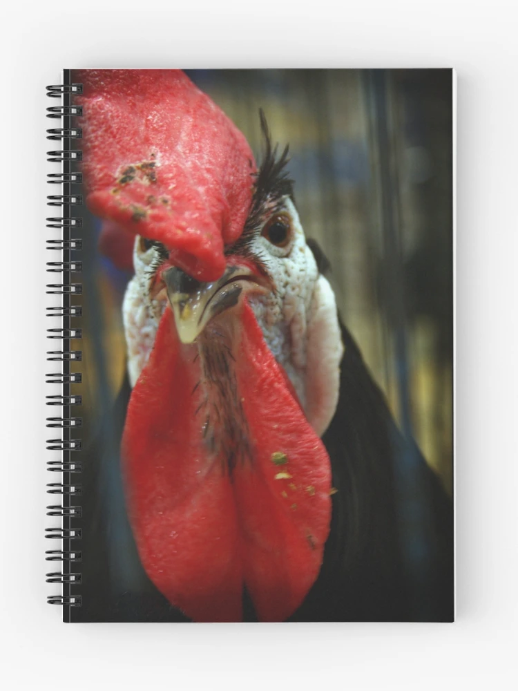 Thumbnail 1 of 3, Journal, In-raged Chicken In-caged designed and sold by Rdestruction.