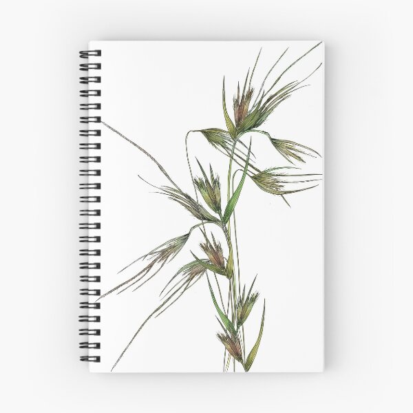 Item preview, Kangaroo Grass  designed and sold by PAPERPLAN.