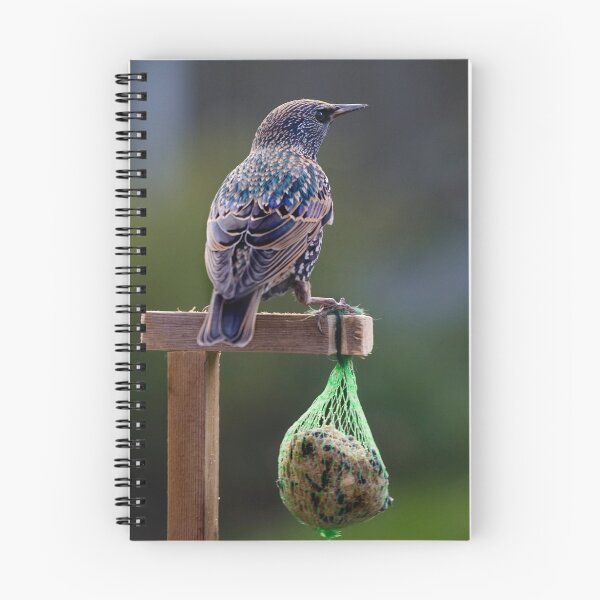 Item preview, Starling designed and sold by Geoff Carpenter.