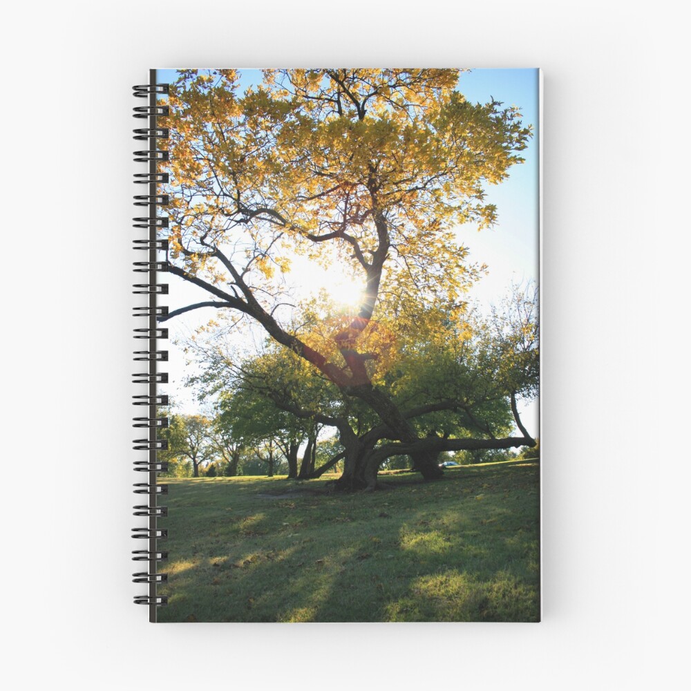 Item preview, Spiral Notebook designed and sold by Rdestruction.