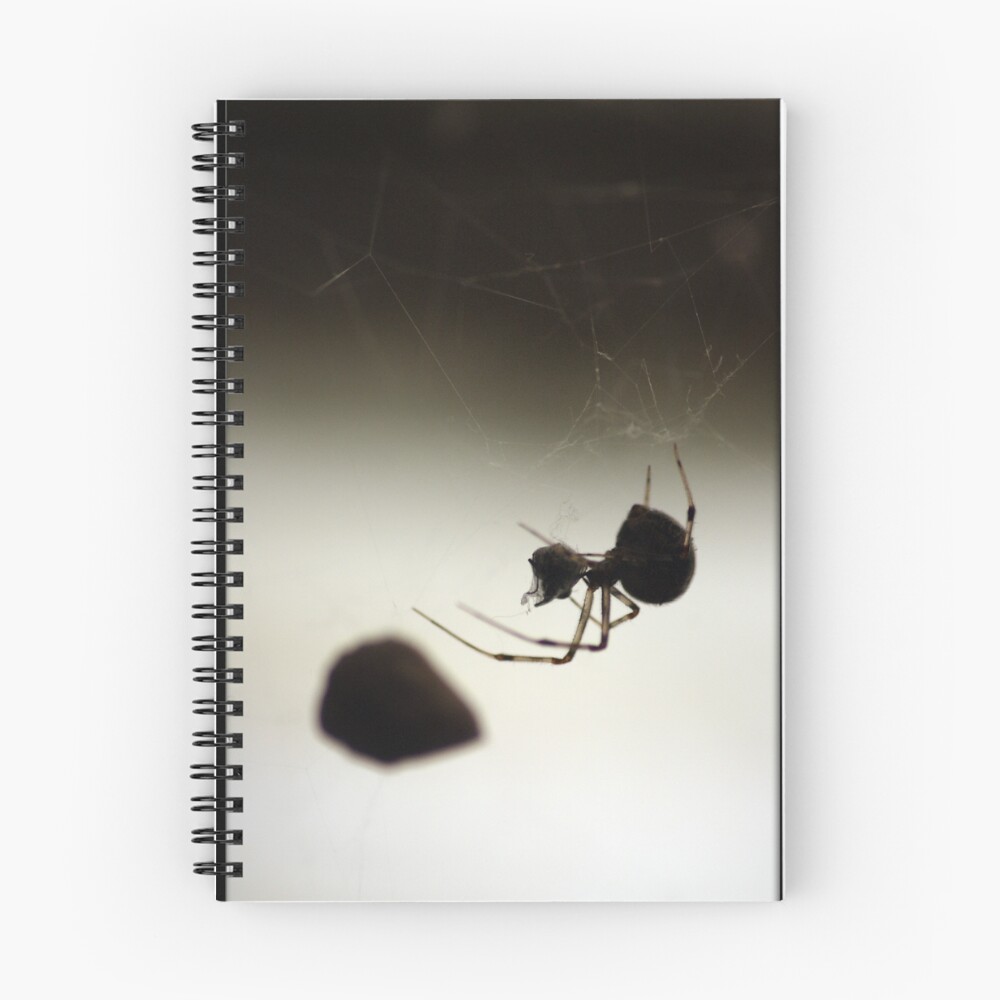 Vista previa del artículo con la obra «Cuaderno de espiral», diseñado y vendido por Rdestruction.