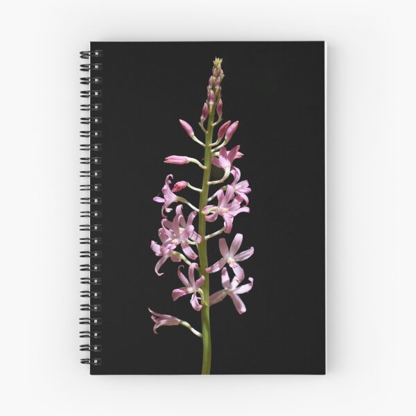 Item preview, Hyacinth orchid designed and sold by LeeoPhotography.