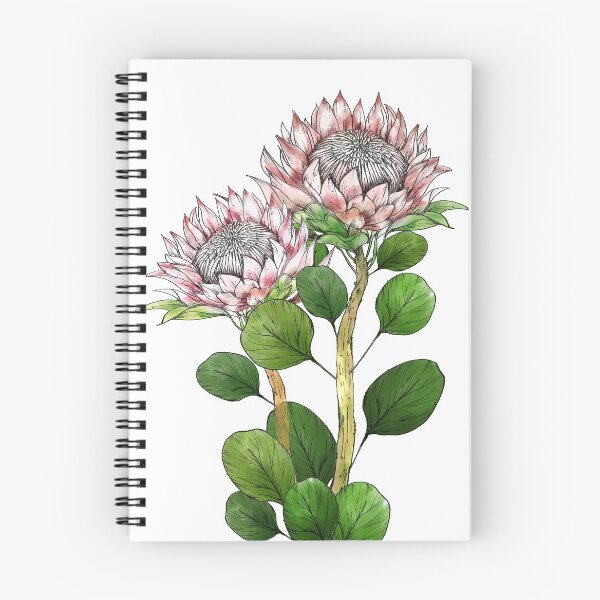 Item preview, The King Protea  designed and sold by PAPERPLAN.