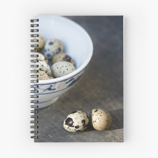 Aperçu de l'œuvre Eggciting créée et vendue par Sandy  Taylor Photography.