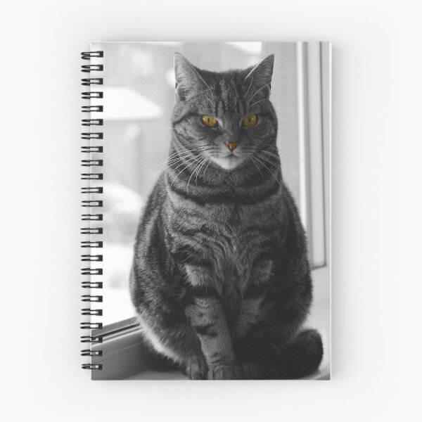 Item preview, Cat at the Window in Wintertime designed and sold by simpsonvisuals.