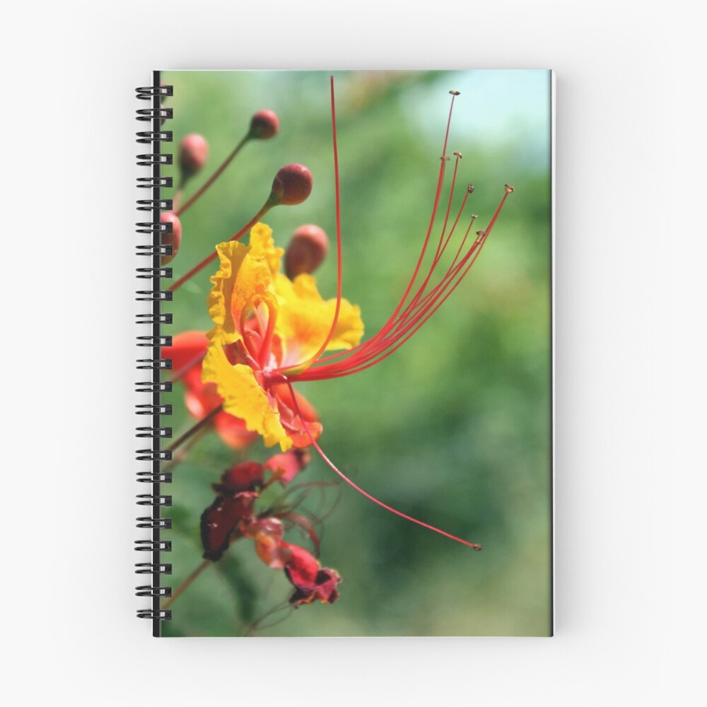 Vista previa del artículo con la obra «Cuaderno de espiral», diseñado y vendido por Rdestruction.