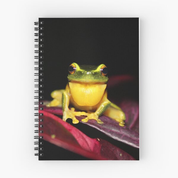 Item preview, Dainty Greentree Frog 2 designed and sold by robmac.