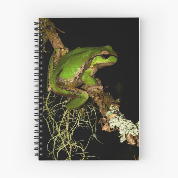 Aperçu de l'œuvre Barrington Tree Frog créée et vendue par Henry  Cook.