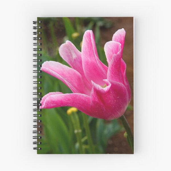 Item preview, Tulip Pink designed and sold by Kath Gillies.