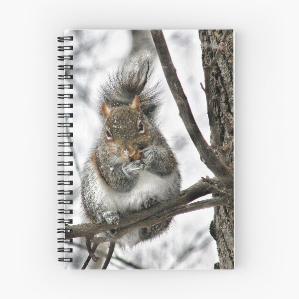 Item preview, "Hey! Is That A Snowflake On Your Nose?" designed and sold by Melinda Stewart Page.
