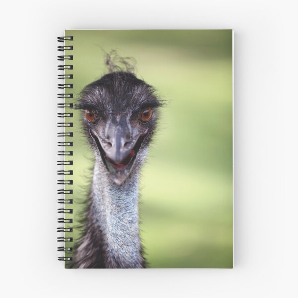 Item preview, Oi - What are you looking at? designed and sold by Sebastian J. de Koning.