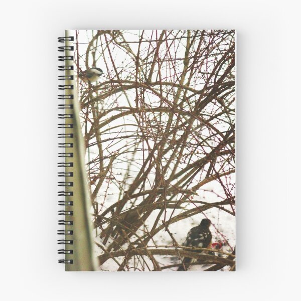 Item preview, Sharp-shinned Hawk Under Observation, Hamburg, NY designed and sold by artwhiz47.