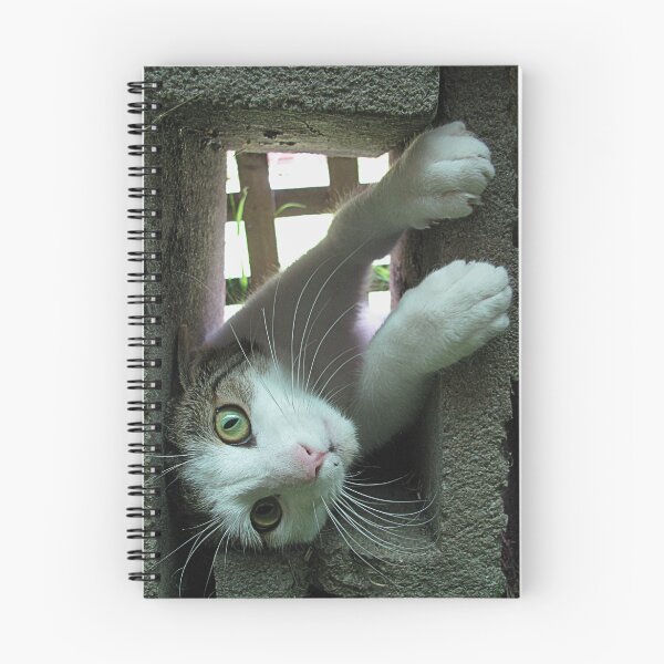 Item preview, Cat relaxed designed and sold by Tammo Winkler.