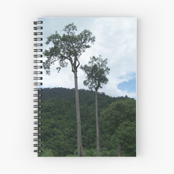 Aperçu de l'œuvre Deux arbres élevés dans la jungle de Chang Mai créée et vendue par Floly.