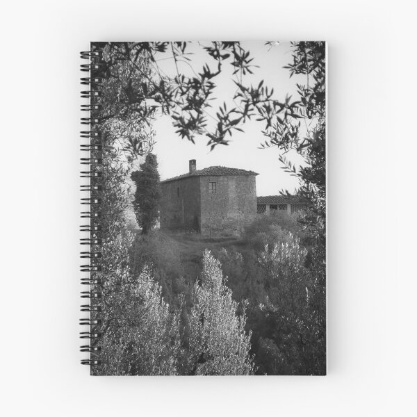 Item preview, Peeking at Vinci in Black and White designed and sold by Minted Light.