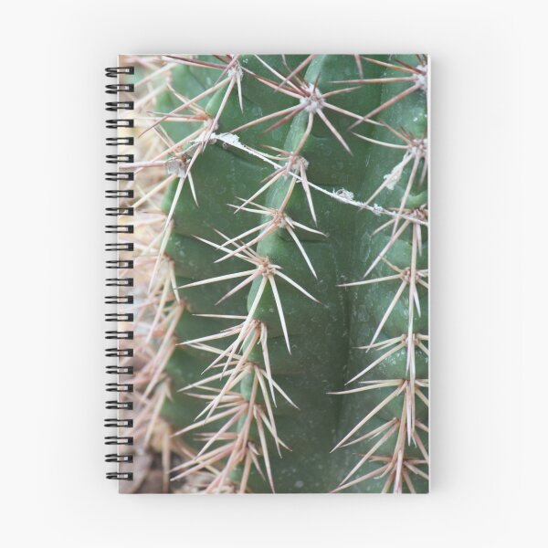 Item preview, Succulent designed and sold by Jane Parnell.