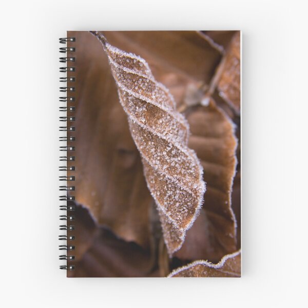 Item preview, Frozen World - Leaf designed and sold by Walter Quirtmair.