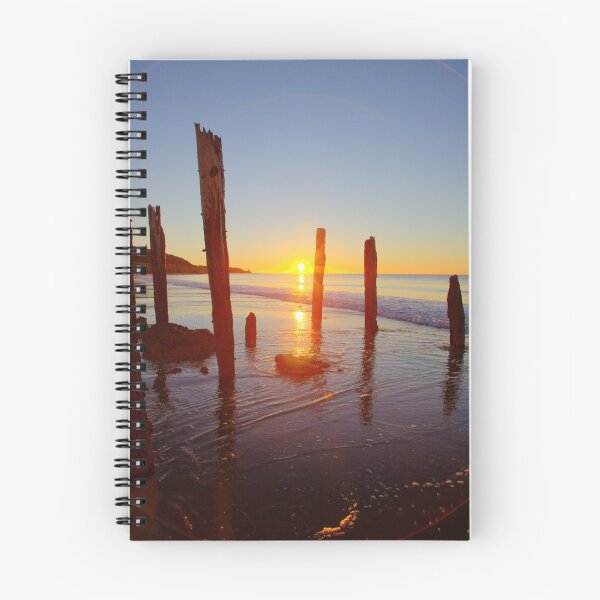 Item preview, Remains designed and sold by evenflow.