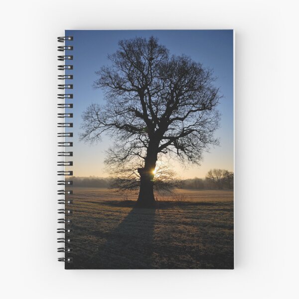 Item preview, Shadows designed and sold by Simon Pattinson.