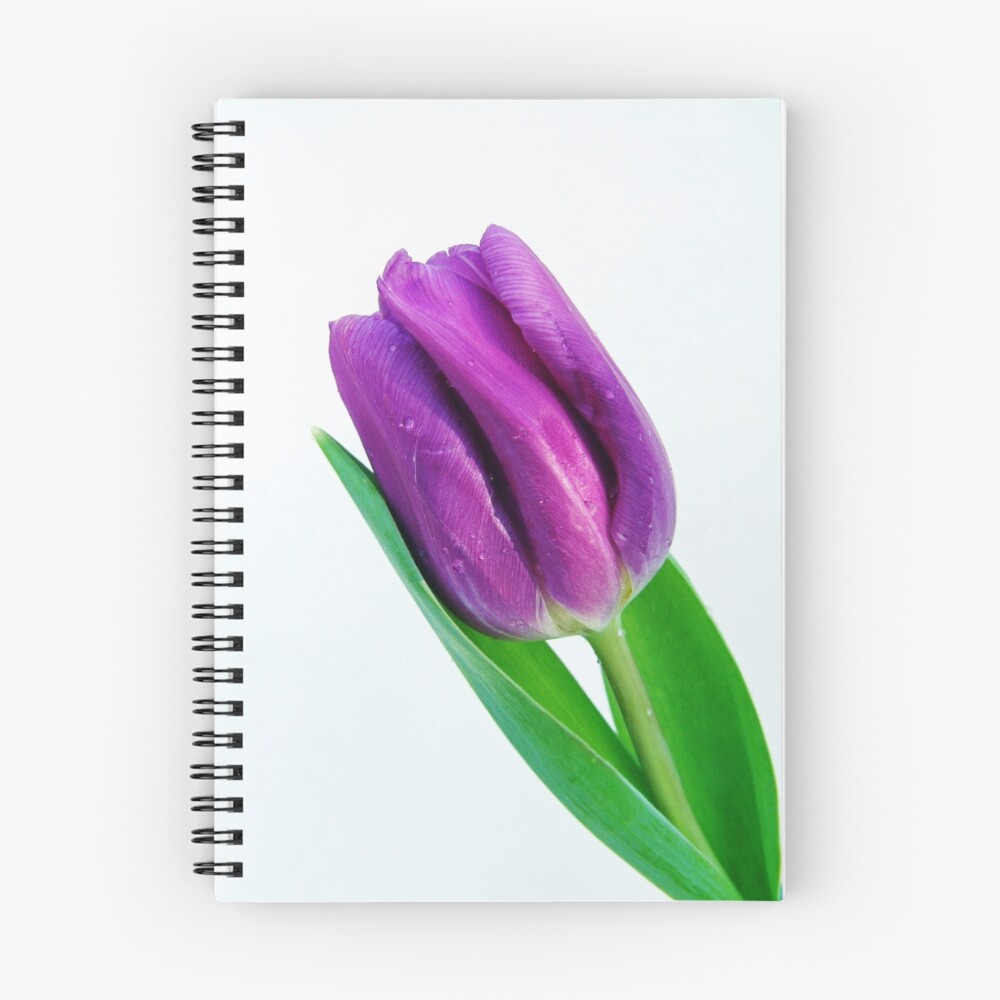 Vista previa del artículo con la obra «Cuaderno de espiral», diseñado y vendido por Riversedge.
