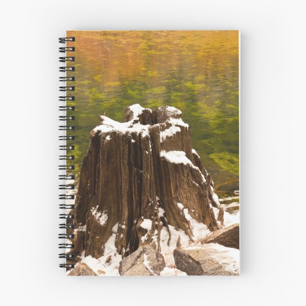 Item preview, Old Tree Stump designed and sold by Nickolay Stanev.