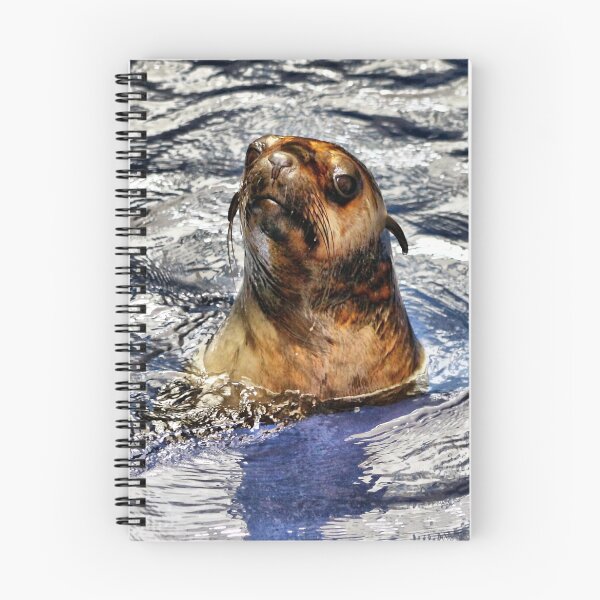 Item preview, Soggy Seal designed and sold by WendyJC.