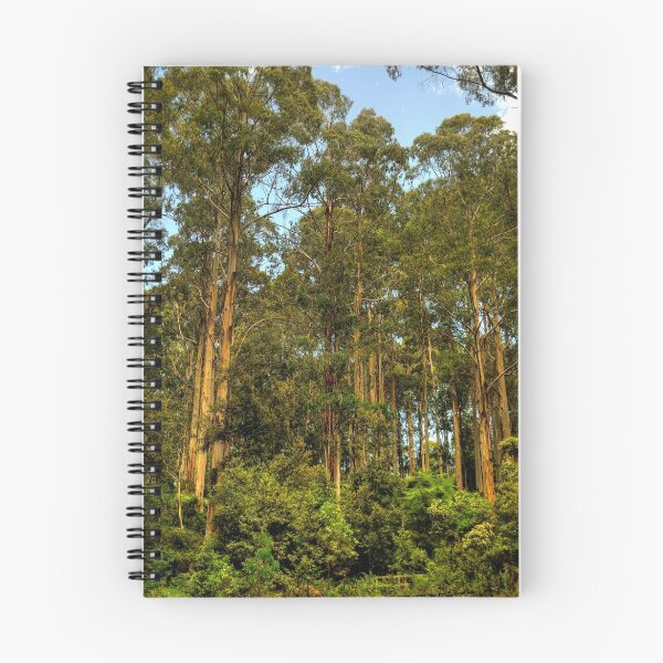 Item preview, Forrest Elders - The Otways National Park - The HDR Experience designed and sold by Salieri1627.