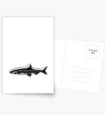 fish Postcards