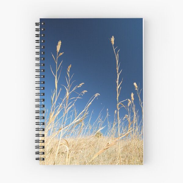 Item preview, Salt Grass designed and sold by Tori Snow.