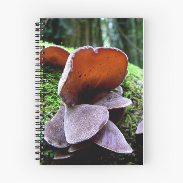 Item preview, Auricularia cornea designed and sold by Erin Anderson.