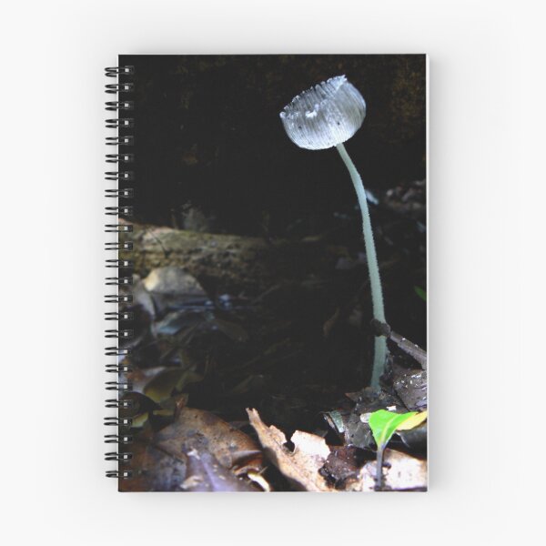 Item preview, Translucent mushroom designed and sold by Erin Anderson.