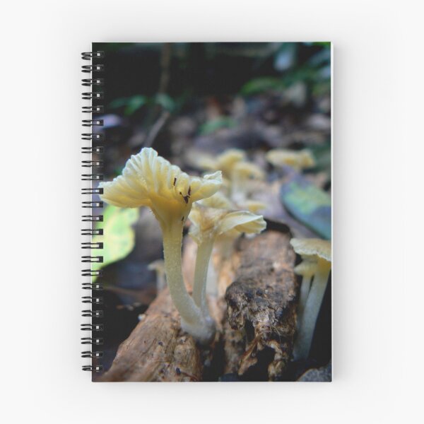 Artikelvorschau, Light yellow mushrooms entworfen und verkauft von Erin Anderson.