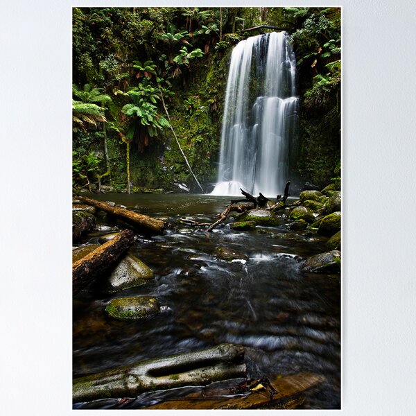 Item preview, Beauchamp Falls - The Otways Victoria designed and sold by Graeme Buckland.