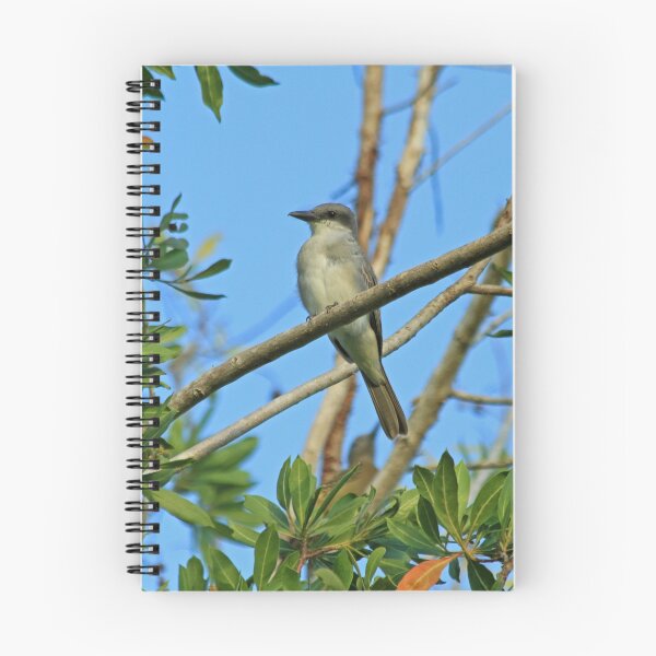 Item preview, Grey Kingbird designed and sold by Robert Abraham.