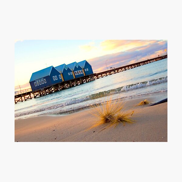Item preview, dune grass and the Busselton Jetty designed and sold by Martin Pot.