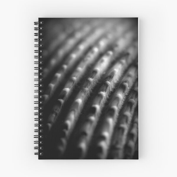Item preview, shell designed and sold by NEmens.