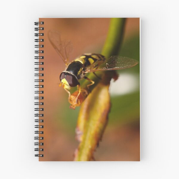 Item preview, Hoverfly resting designed and sold by Andrew Durick.