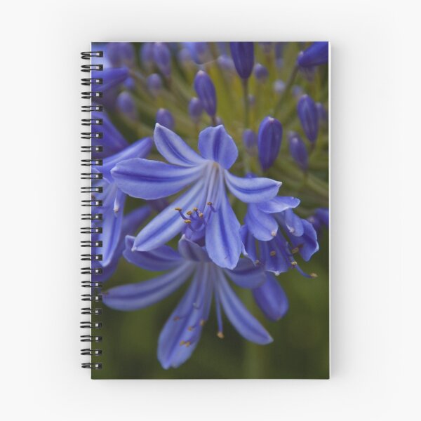 Aperçu de l'œuvre Flower créée et vendue par R Ismail.