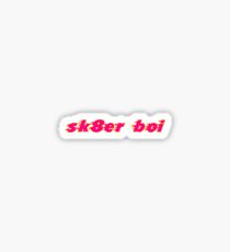 sk8er boi Sticker